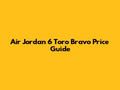 Air Jordan 6 Toro Bravo Price Guide