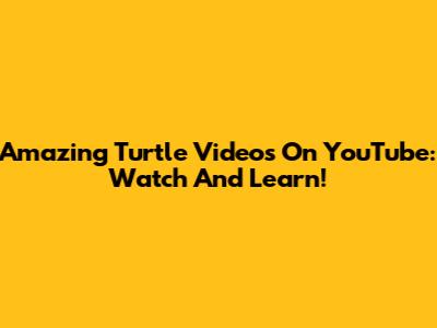 Amazing Turtle Videos On YouTube: Watch And Learn!