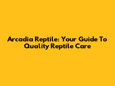 Arcadia Reptile: Your Guide To Quality Reptile Care