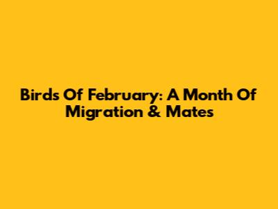 Birds Of February: A Month Of Migration & Mates