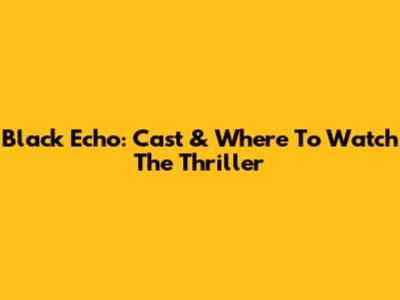 Black Echo: Cast & Where To Watch The Thriller