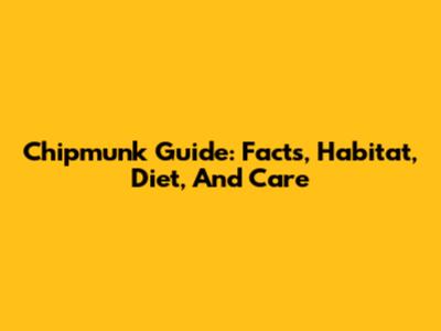 Chipmunk Guide: Facts, Habitat, Diet, And Care
