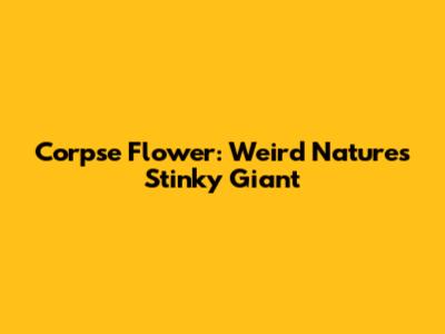 Corpse Flower: Weird Nature's Stinky Giant