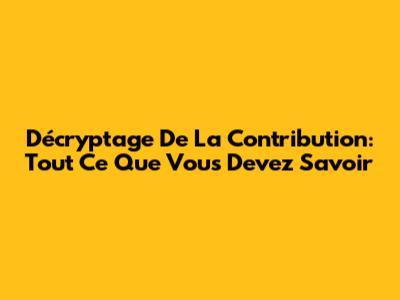Décryptage De La Contribution: Tout Ce Que Vous Devez Savoir