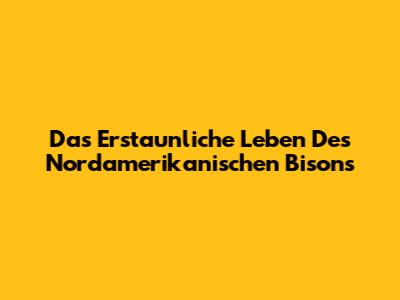 Das Erstaunliche Leben Des Nordamerikanischen Bisons