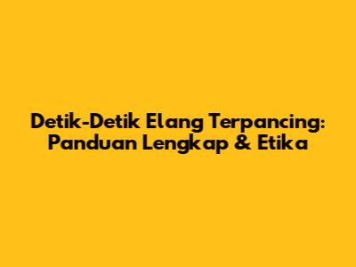 Detik-Detik Elang Terpancing: Panduan Lengkap & Etika
