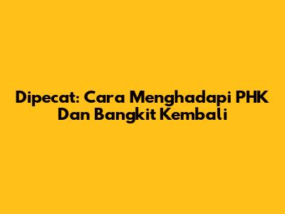 Dipecat: Cara Menghadapi PHK Dan Bangkit Kembali