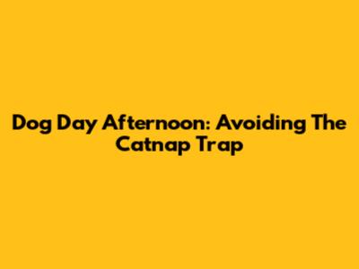 Dog Day Afternoon: Avoiding The Catnap Trap