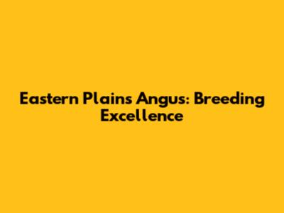 Eastern Plains Angus: Breeding Excellence