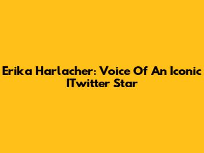 Erika Harlacher: Voice Of An Iconic ITwitter Star