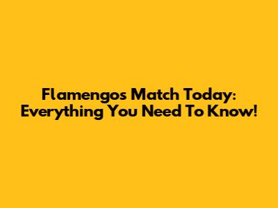 Flamengo's Match Today: Everything You Need To Know!