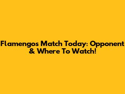 Flamengo's Match Today: Opponent & Where To Watch!