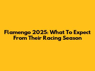 Flamengo 2025: What To Expect From Their Racing Season