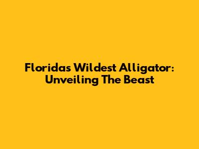 Florida's Wildest Alligator: Unveiling The Beast