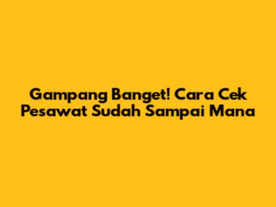 Gampang Banget! Cara Cek Pesawat Sudah Sampai Mana