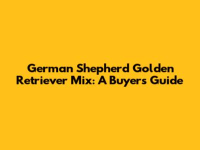 German Shepherd Golden Retriever Mix: A Buyer's Guide