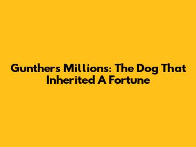 Gunther's Millions: The Dog That Inherited A Fortune
