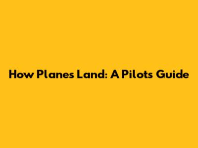 How Planes Land: A Pilot's Guide