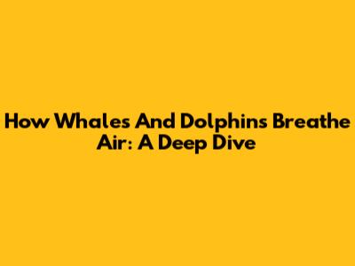 How Whales And Dolphins Breathe Air: A Deep Dive