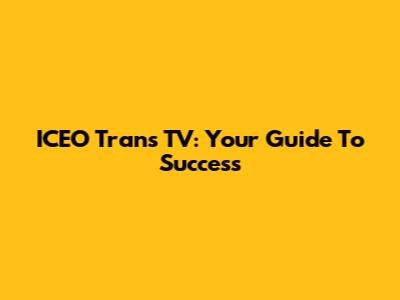 ICEO Trans TV: Your Guide To Success
