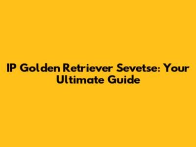 IP Golden Retriever Sevetse: Your Ultimate Guide