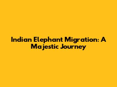 Indian Elephant Migration: A Majestic Journey