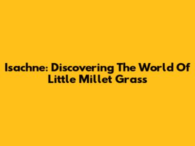 Isachne: Discovering The World Of Little Millet Grass