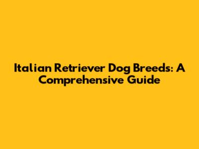 Italian Retriever Dog Breeds: A Comprehensive Guide