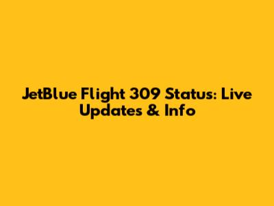 JetBlue Flight 309 Status: Live Updates & Info