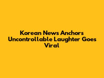 Korean News Anchor's Uncontrollable Laughter Goes Viral