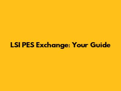LSI PES Exchange: Your Guide