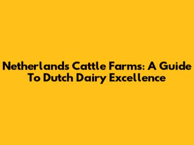Netherlands Cattle Farms: A Guide To Dutch Dairy Excellence