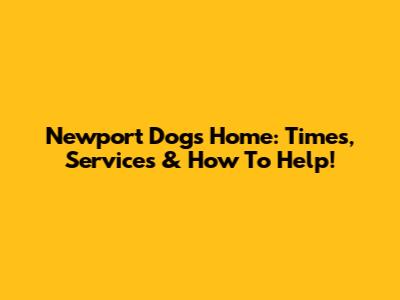 Newport Dogs Home: Times, Services & How To Help!