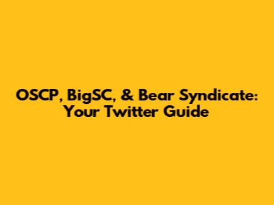 OSCP, BigSC, & Bear Syndicate: Your Twitter Guide