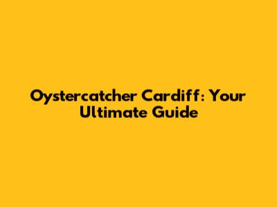 Oystercatcher Cardiff: Your Ultimate Guide