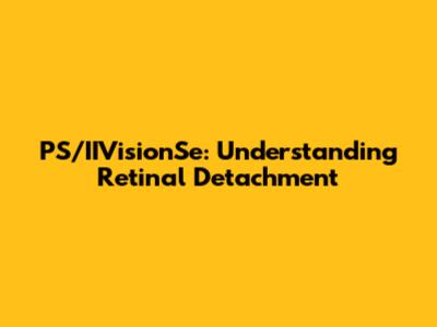 PS/IIVisionSe: Understanding Retinal Detachment