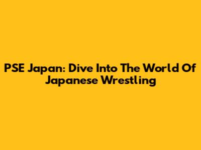 PSE Japan: Dive Into The World Of Japanese Wrestling
