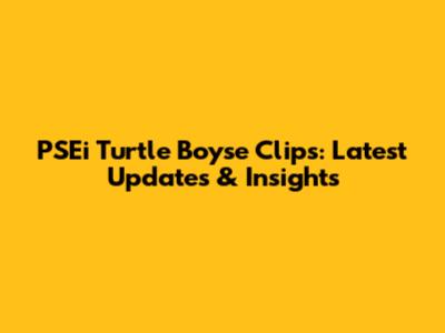 PSEi Turtle Boyse Clips: Latest Updates & Insights