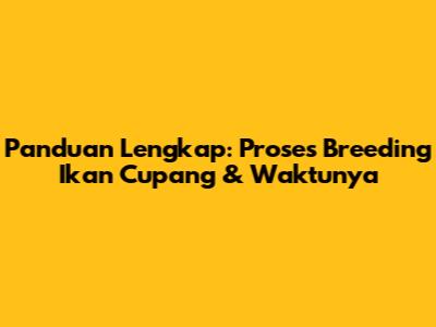 Panduan Lengkap: Proses Breeding Ikan Cupang & Waktunya