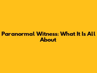 Paranormal Witness: What It Is All About