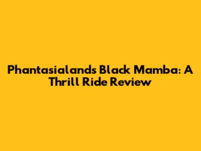 Phantasialand's Black Mamba: A Thrill Ride Review