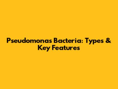 Pseudomonas Bacteria: Types & Key Features