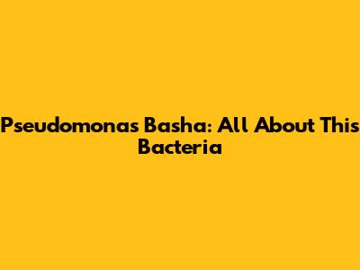Pseudomonas Basha: All About This Bacteria