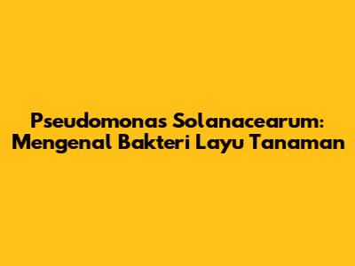 Pseudomonas Solanacearum: Mengenal Bakteri Layu Tanaman