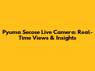 Pyuma Secose Live Camera: Real-Time Views & Insights