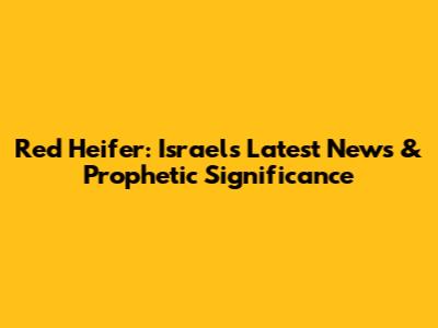 Red Heifer: Israel's Latest News & Prophetic Significance