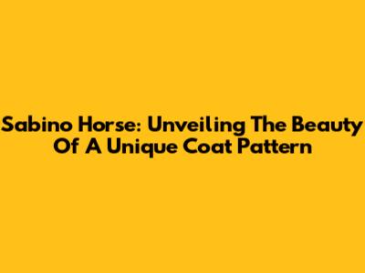Sabino Horse: Unveiling The Beauty Of A Unique Coat Pattern