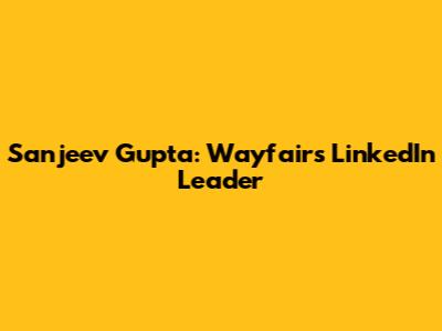Sanjeev Gupta: Wayfair's LinkedIn Leader
