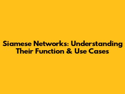 Siamese Networks: Understanding Their Function & Use Cases