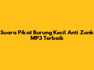 Suara Pikat Burung Kecil Anti Zonk MP3 Terbaik